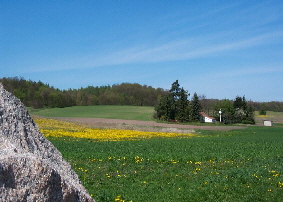 Fruehling