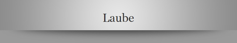 Laube